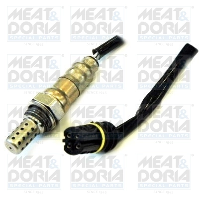Oxygen Sensor